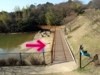 0321bridge1