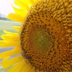 20140718 h001