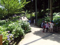 251.6.12bus016