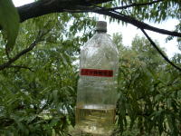 CIMG25913