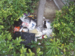 clip_image002