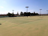 newtennis2-21