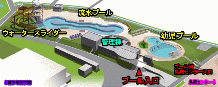 プール
