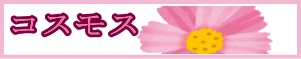 コスモス